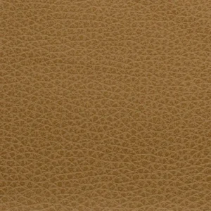 Canyon Nassimi Vinyl Faux Leather