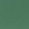 Naugahyde Spirit Millennium Vinyl - China Green
